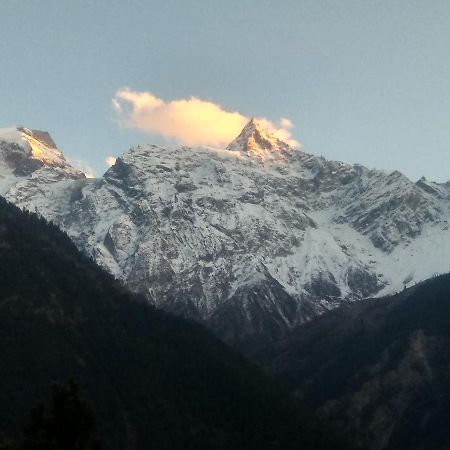 Wanderers Homestay -All Mountain Facing Rooms Kalpa Extérieur photo