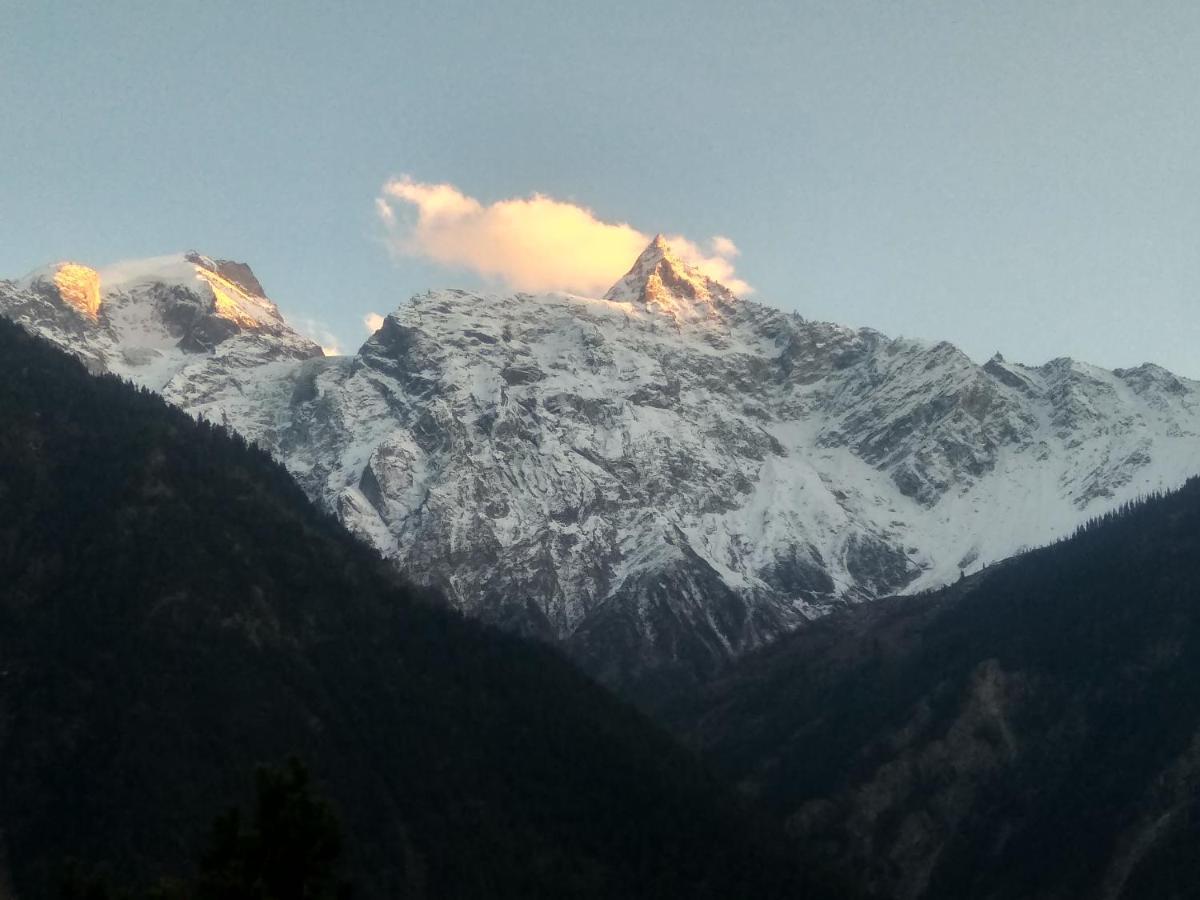 Wanderers Homestay -All Mountain Facing Rooms Kalpa Extérieur photo