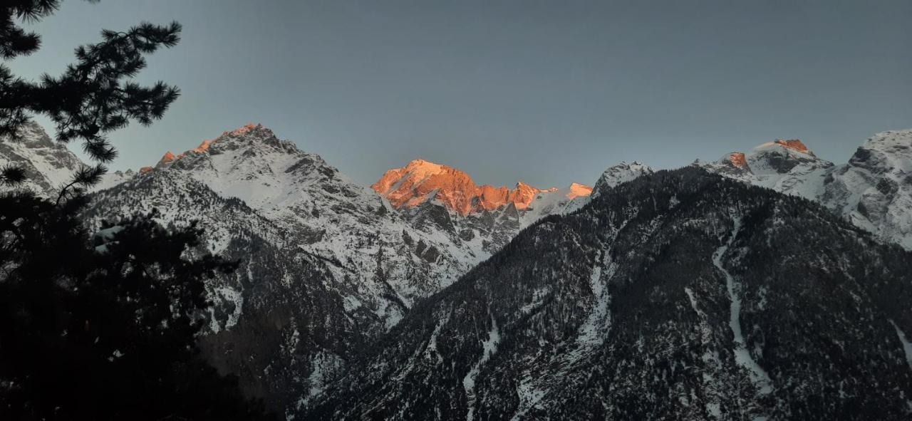 Wanderers Homestay -All Mountain Facing Rooms Kalpa Extérieur photo