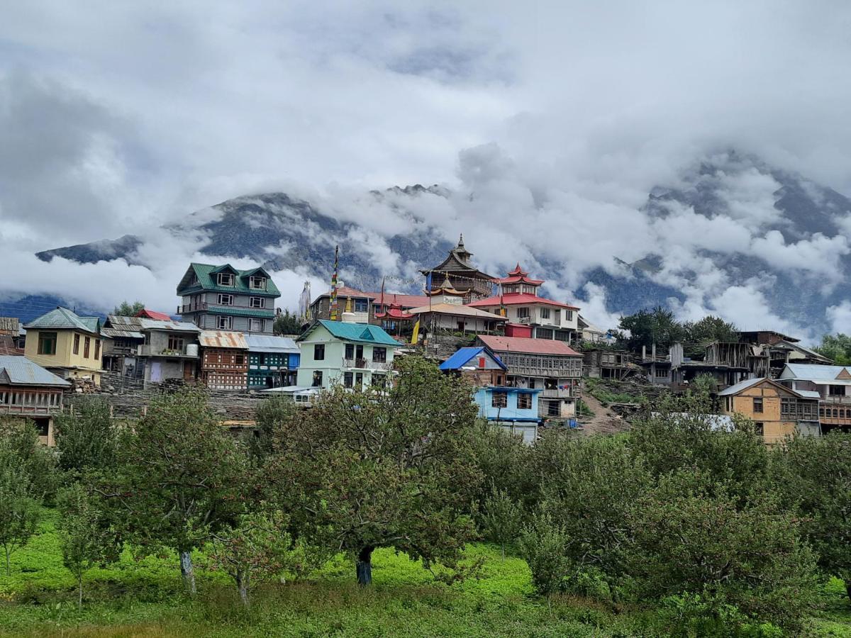Wanderers Homestay -All Mountain Facing Rooms Kalpa Extérieur photo