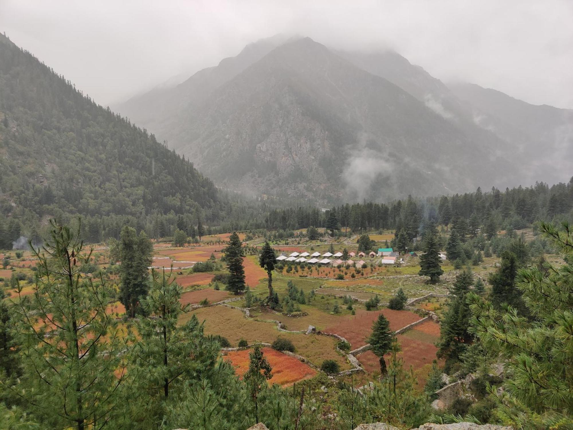 Wanderers Homestay -All Mountain Facing Rooms Kalpa Extérieur photo